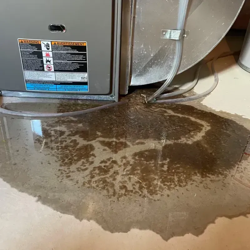 Appliance Leak Cleanup in Cleary, MS